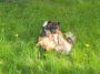 DSCN0595.jpg