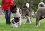 DSCN0629.jpg