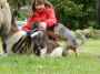 DSCN0685.jpg