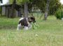 DSCN0699.jpg