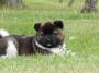 DSCN0702.jpg