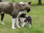 DSCN0737.jpg