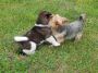 DSCN0747.jpg