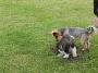 DSCN0758.jpg