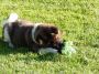 DSCN0850.jpg