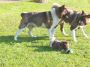 DSCN0853.jpg