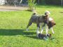 DSCN0860.jpg