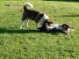 DSCN0865.jpg