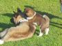 DSCN0902.jpg