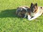DSCN0929.jpg
