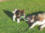 DSCN0939.jpg