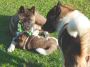 DSCN0940.jpg