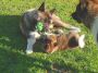 DSCN0941.jpg