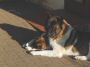 DSCN0954.jpg